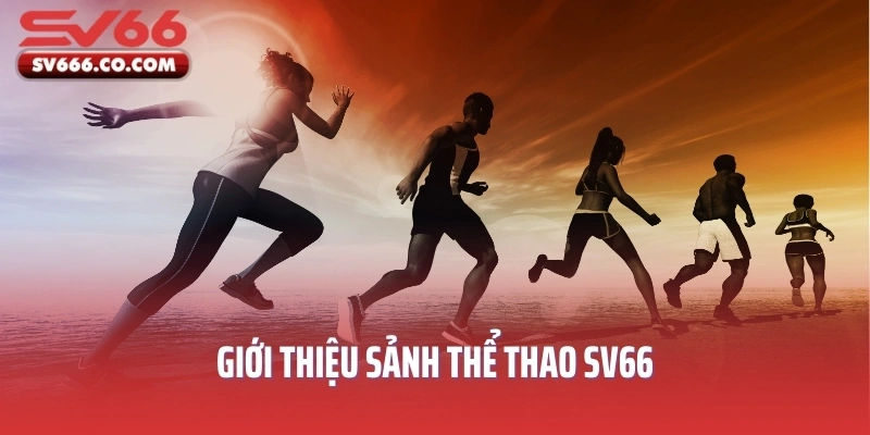 Giới thiệu sảnh thể thao SV66